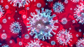 Long Covid: il virus quanto permane nell’organismo?