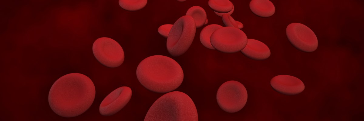 Tumori del sangue: una vita tra l’incudine e il martello. Intervista al prof. Sergio Amadori, AIL