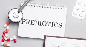 Over 60: i prebiotici migliorano la funzione cognitiva 