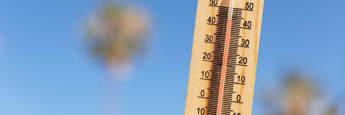 Caldo estivo, 10 regole per proteggersi